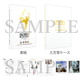 Final Fantasy IX Square Enix 25th Anniversary Pamphlet