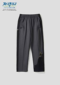 Jojo's Bizarre Adventure graniph Track pants F・F