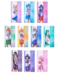 Sailor Moon Museum Osaka Multi Case 10 Pretty Guardians Original Illustration