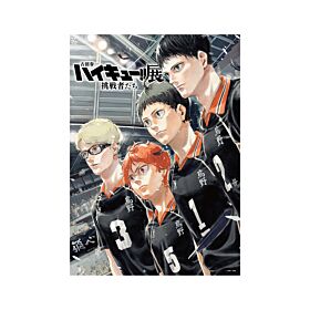Haikyuu!! Challengers Exhibition B3 & B4 Poster Set Key Visual Stand Tall