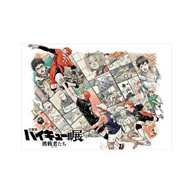 Haikyuu!! Challengers Exhibition B3 & B4 Poster Set Key Visual Run Up Hinata Ver.