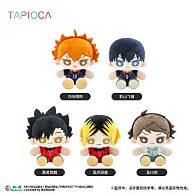 Haikyuu!! TAPIOCA China-Exclusive Starry-Eyed Mini Sitting Plush