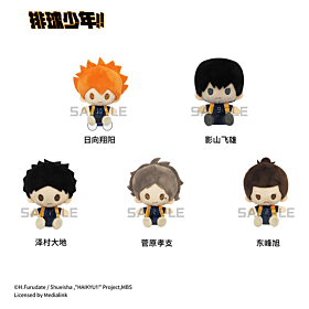 Haikyuu!! TAPIOCA China-Exclusive Plush Badge Vol.1 SET