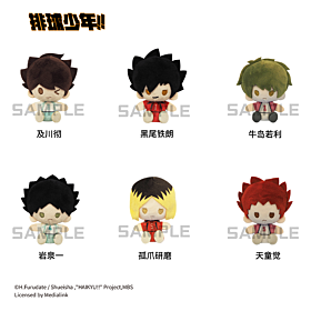 Haikyuu!! TAPIOCA China-Exclusive Plush Badge Vol.2 BLIND PACK